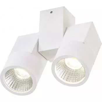 Светодиодный поворотный спот Citilux Дубль CL556100