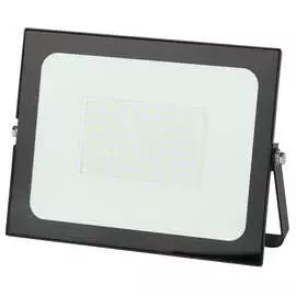 Светодиодный прожектор ЭРА