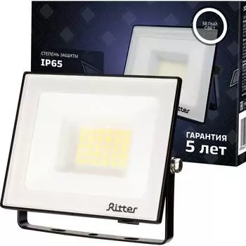 Светодиодный прожектор RITTER PROFI 53416 1