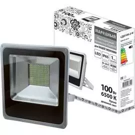 Светодиодный прожектор TDM