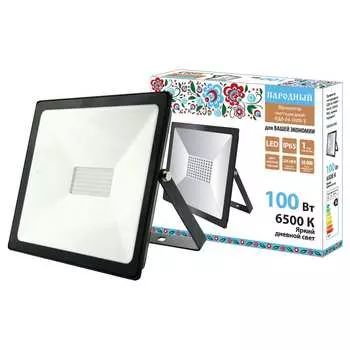 Светодиодный прожектор TDM