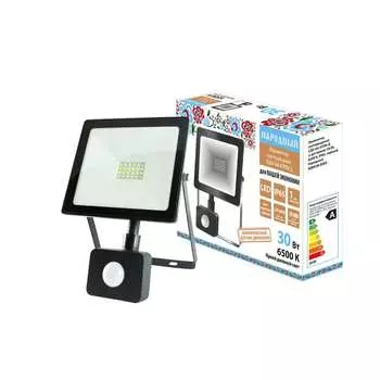 Светодиодный прожектор TDM