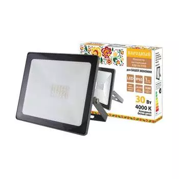 Светодиодный прожектор TDM