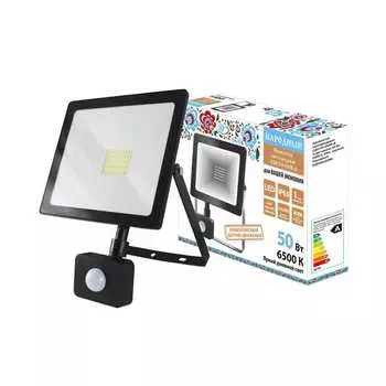 Светодиодный прожектор TDM