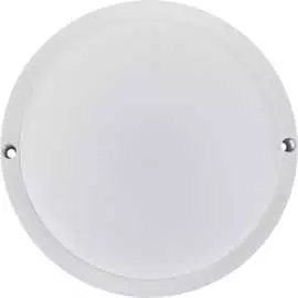 Светодиодный пылевлагозащищенный светильник REXANT ЖКХ-01 607-250