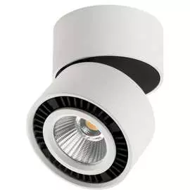 Светодиодный спот Lightstar 214816