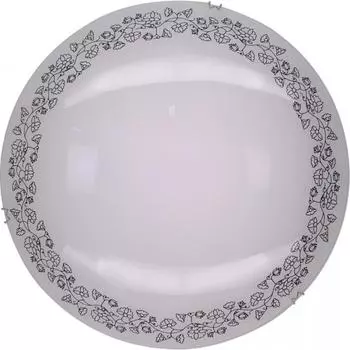 Светодиодный светильник Citilux Вьюнок CL917010