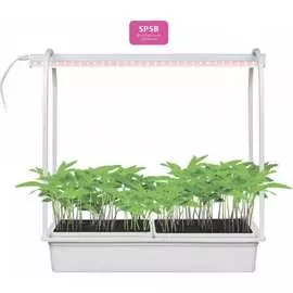 Светодиодный светильник для растений Uniel