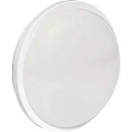 Светодиодный светильник EKF PROxima ЖКХ BKL-2012-R-25-6500