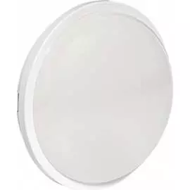 Светодиодный светильник EKF PROxima ЖКХ BKL-2007-R-25-4000