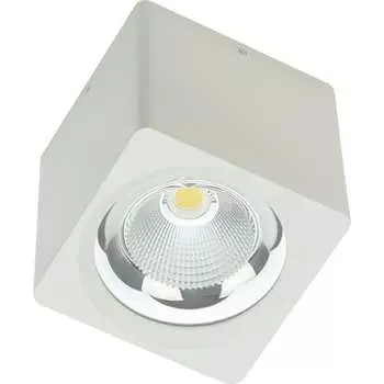 Светодиодный светильник FIBERLI CH-SD220-1 12120101