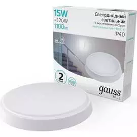 Светодиодный светильник Gauss