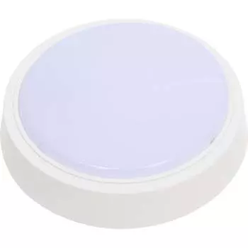 Светодиодный светильник IN HOME СПБ-2-КРУГ 4690612020631