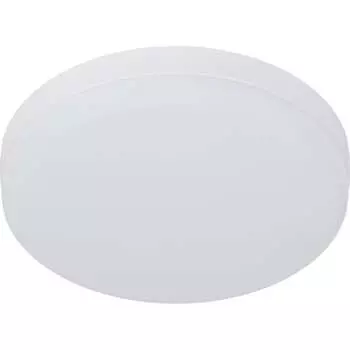 Светодиодный светильник ЭРА Б0054337