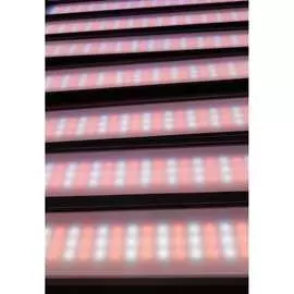 Светодиодный светильник КХЭМ FITO 80