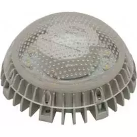 Светодиодный светильник TRANSCOM ЖКХ-8Д Т-11-П-Д-08-Д-Н-65