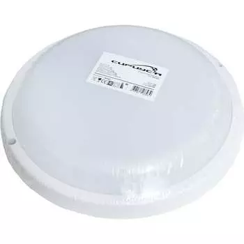 Светодиодный светильник ЖКХ Сириус А SHPR-24W-4K-1