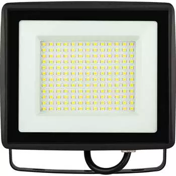 Светодиодный уличный прожектор ЭРА RED LINE LPR-024-100 Б0059616