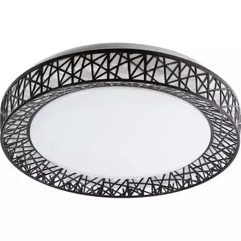 Светодиодный управляемый светильник Smartbuy SBL-DIM12-100W