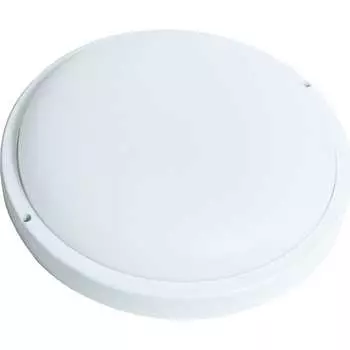 Светодиодный жкх светильник Сириус А shpr SHPR-24W-4K