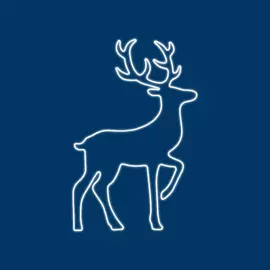 Световая фигура neon-night сказочный олень 140х93 см 501-314