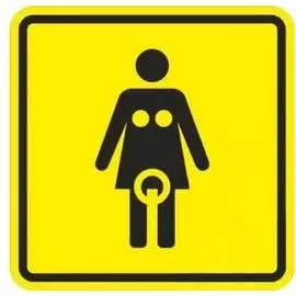 Тактильная пиктограмма PALITRA TECHNOLOGY