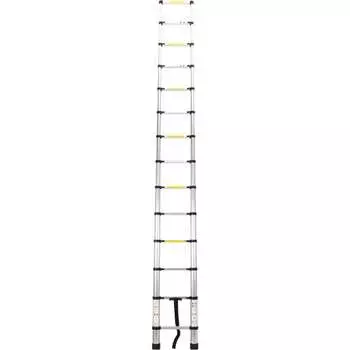 Телескопическая лестница WORKY ARD128091