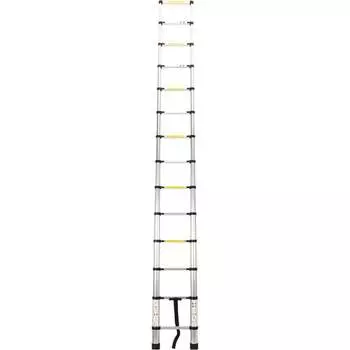Телескопическая лестница WORKY