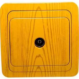 Телевизионная розетка СВЕТОЗАР