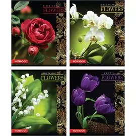 Тетрадь ArtSpace