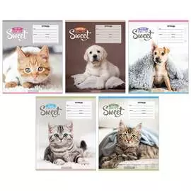 Тетрадь ArtSpace