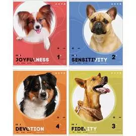 Тетрадь ArtSpace