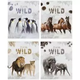 Тетрадь ArtSpace