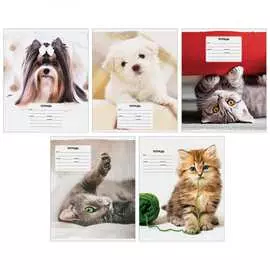 Тетрадь ArtSpace