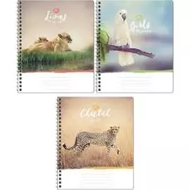 Тетрадь ArtSpace