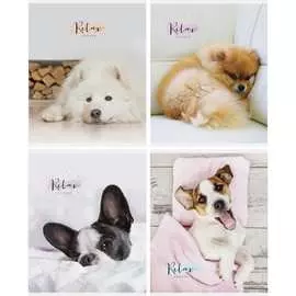 Тетрадь ArtSpace