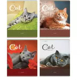 Тетрадь ArtSpace