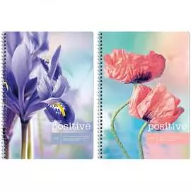 Тетрадь ArtSpace