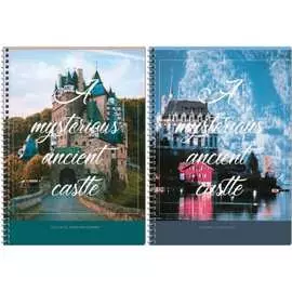 Тетрадь ArtSpace