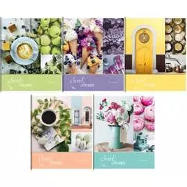 Тетрадь ArtSpace