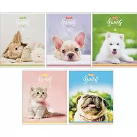 Тетрадь ArtSpace