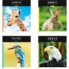 Тетрадь ArtSpace