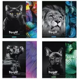 Тетрадь ArtSpace