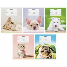 Тетрадь ArtSpace