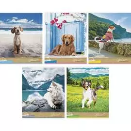 Тетрадь ArtSpace