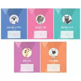 Тетрадь ArtSpace