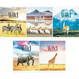 Тетрадь ArtSpace