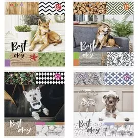 Тетрадь ArtSpace