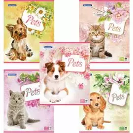 Тетрадь BRAUBERG