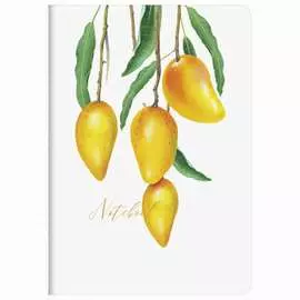 Тетрадь BRAUBERG